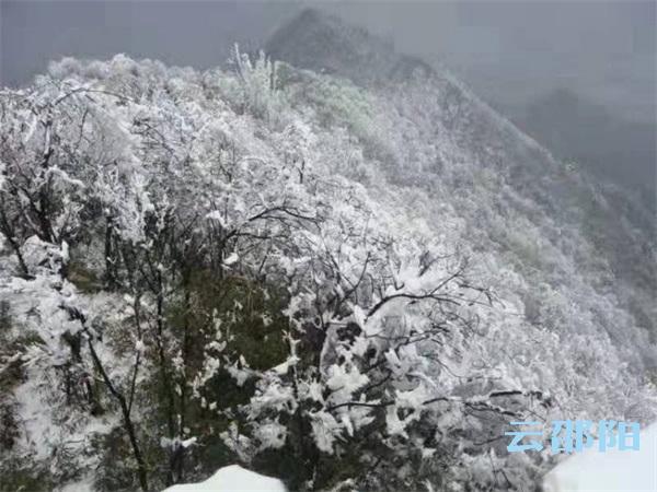 龙山是哪里?龙山的天气情况-图3 龙山是哪里?龙山的天气情况-图3