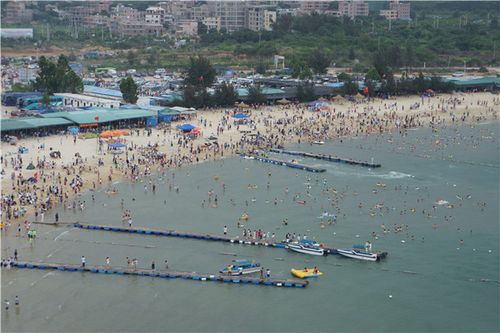 大亚湾冬天冷吗?大亚湾过年天气情况-图2 大亚湾冬天冷吗?大亚湾过年天气情况-图2