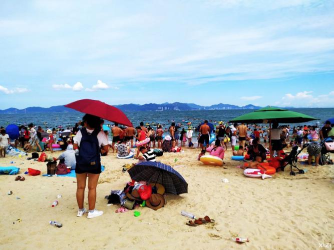 大亚湾冬天冷吗?大亚湾过年天气情况-图3 大亚湾冬天冷吗?大亚湾过年天气情况-图3