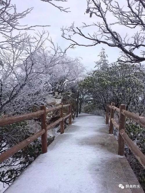柞水下雪了吗?柞水的天气情况-图3 柞水下雪了吗?柞水的天气情况-图3
