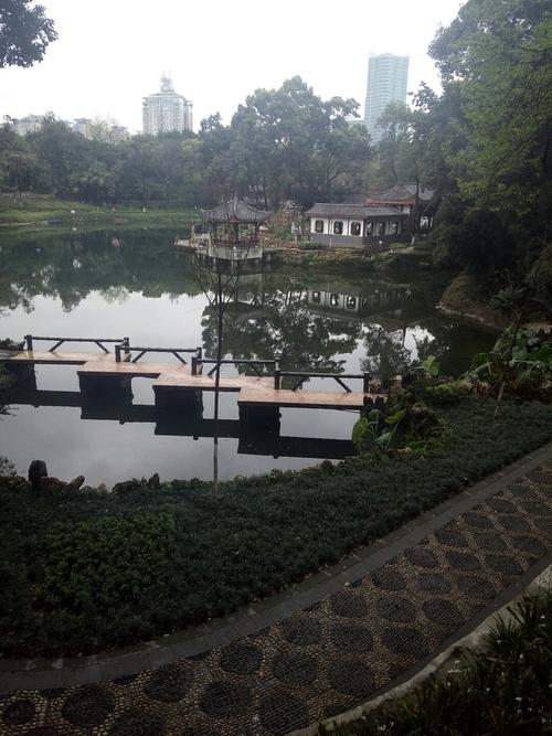 重庆沙坪坝哪里好玩?沙坪区天气情况-图3 重庆沙坪坝哪里好玩?沙坪区天气情况-图3