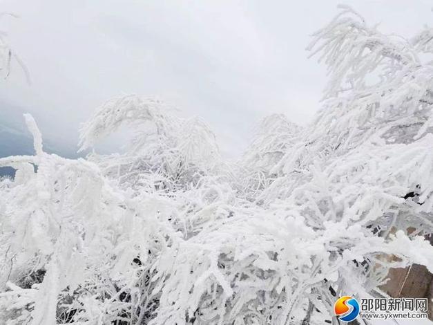 2023年湖南邵阳下雪吗?邵阳今年天气情况-图3 2023年湖南邵阳下雪吗?邵阳今年天气情况-图3