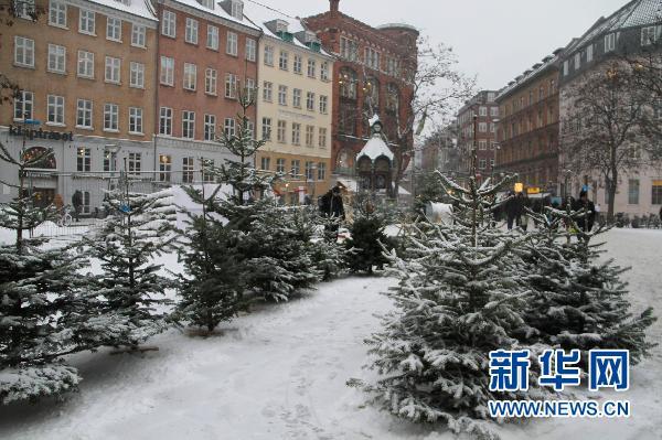 丹麦的天气冷吗?丹麦首都天气情况-图3 丹麦的天气冷吗?丹麦首都天气情况-图3
