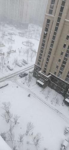 吉林白城下雪了吗？白城过去天气情况