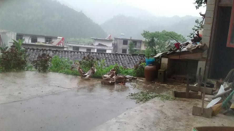遂川属于吉安北部还是南部?遂川现在天气情况-图3 遂川属于吉安北部还是南部?遂川现在天气情况-图3