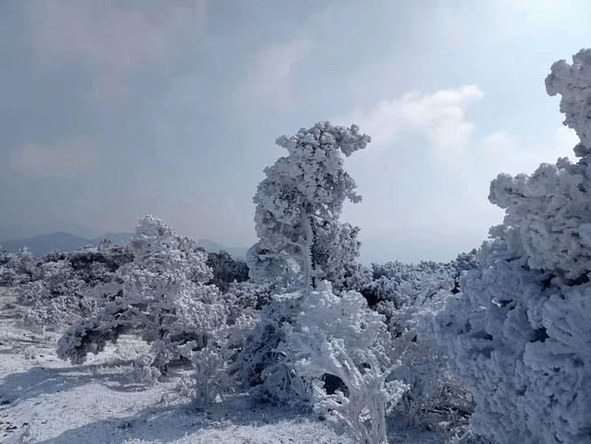 磐安滑雪场正月营业吗?今天磐安天气情况-图3 磐安滑雪场正月营业吗?今天磐安天气情况-图3