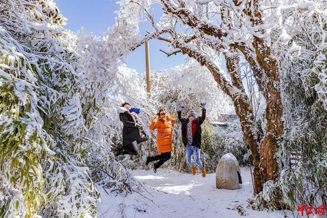 金佛山下雪吗?金佛山天气情况-图2 金佛山下雪吗?金佛山天气情况-图2