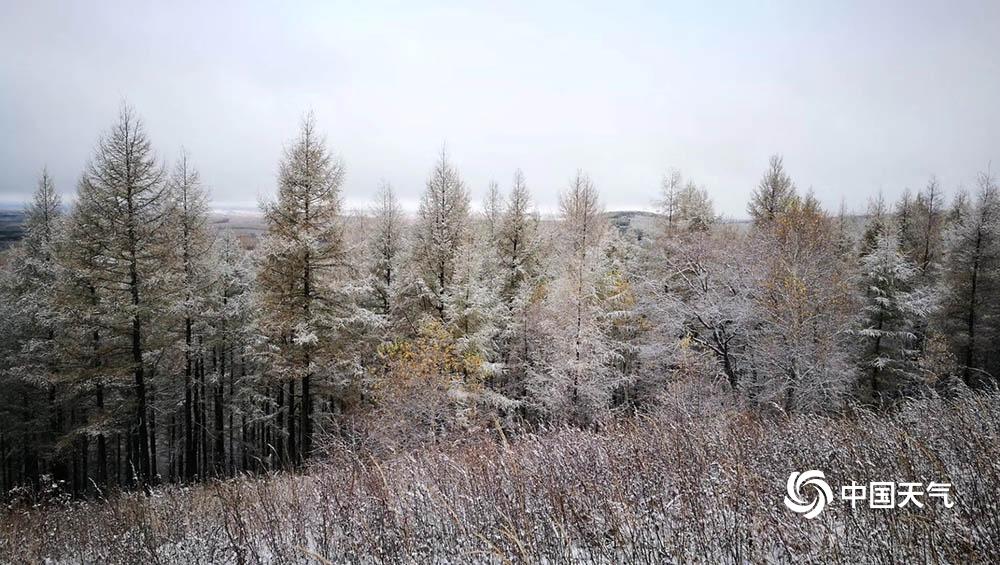 塞罕坝下雪是真的吗?丰宁塞罕坝天气情况-图1 塞罕坝下雪是真的吗?丰宁塞罕坝天气情况-图1