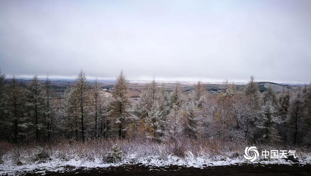 塞罕坝下雪是真的吗?丰宁塞罕坝天气情况-图3 塞罕坝下雪是真的吗?丰宁塞罕坝天气情况-图3