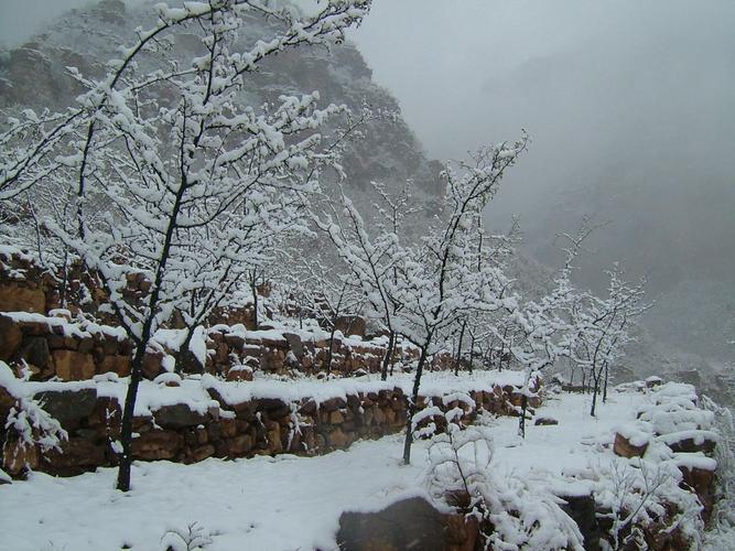 安阳市往林州路上有雪吗?林州的天气情况-图3 安阳市往林州路上有雪吗?林州的天气情况-图3
