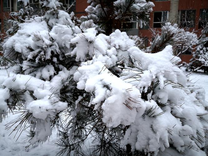 宁夏哪个地区下雪了?宁夏盐池天气情况-图2 宁夏哪个地区下雪了?宁夏盐池天气情况-图2