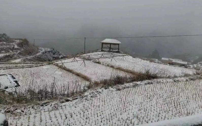 丽水附近哪里下雪了?遂昌丽水天气情况-图2 丽水附近哪里下雪了?遂昌丽水天气情况-图2