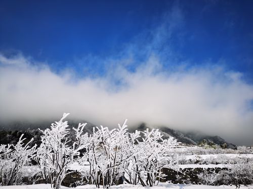 丽水附近哪里下雪了?遂昌丽水天气情况-图3 丽水附近哪里下雪了?遂昌丽水天气情况-图3