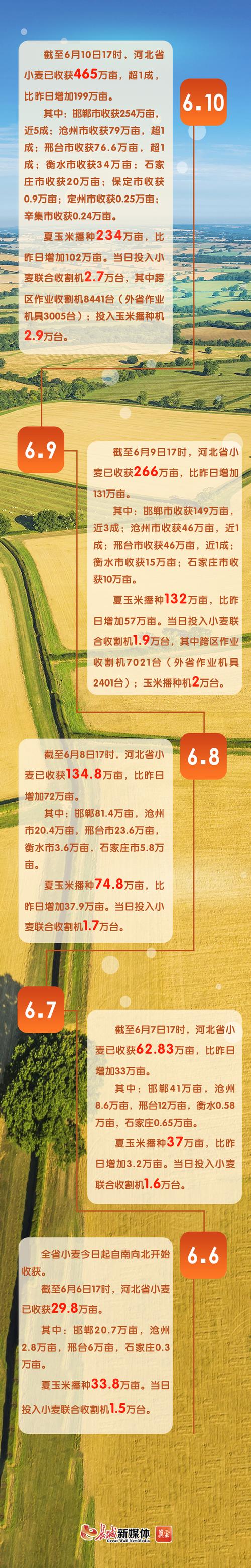 河北邯郸什么时间收小麦?大名的天气情况-图1 河北邯郸什么时间收小麦?大名的天气情况-图1