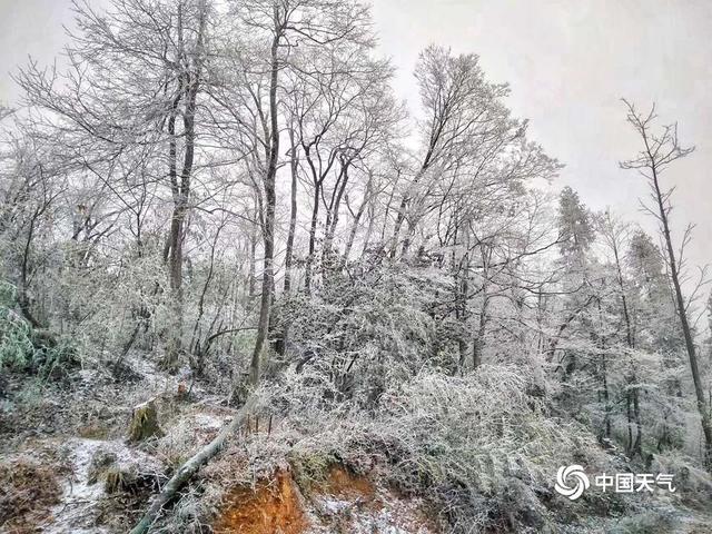 湘西下雪了吗?湖南吉首天气情况-图2 湘西下雪了吗?湖南吉首天气情况-图2