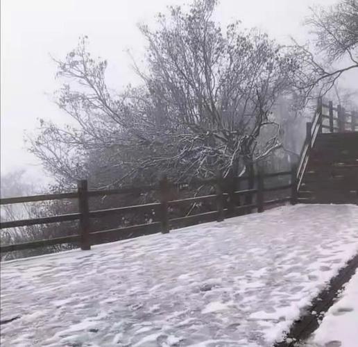 汉中龙头山11月有雪吗？汉中今日天气情况