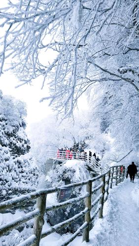 汉中龙头山11月有雪吗?汉中今日天气情况-图2 汉中龙头山11月有雪吗?汉中今日天气情况-图2