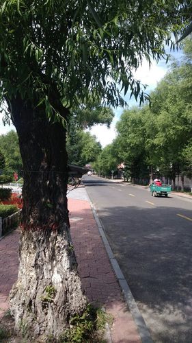 海林属于哪个市?柴河近期天气情况-图2 海林属于哪个市?柴河近期天气情况-图2