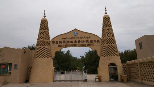东莞沙漠植物园门票多少?东莞沙漠天气情况-图2 东莞沙漠植物园门票多少?东莞沙漠天气情况-图2