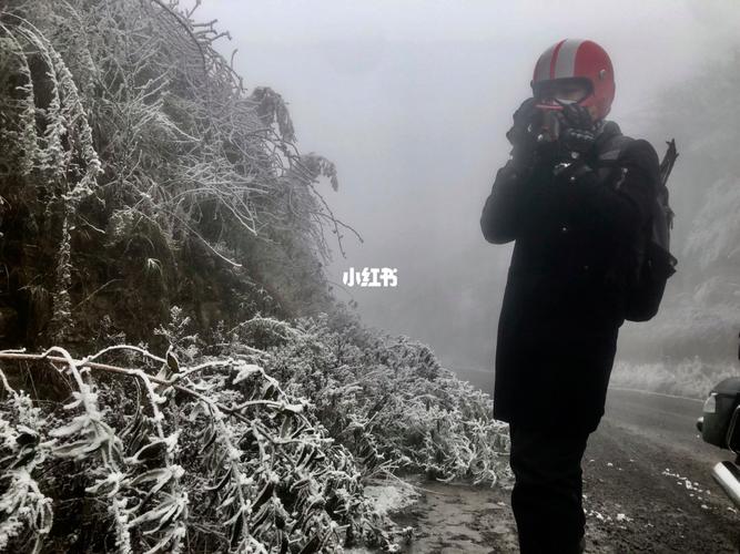武隆赵云山下雪了吗?武隆近期天气情况-图2 武隆赵云山下雪了吗?武隆近期天气情况-图2