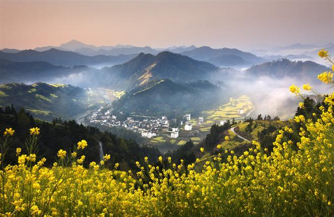 歙县赏花最佳时间?歙县时段天气情况-图2 歙县赏花最佳时间?歙县时段天气情况-图2