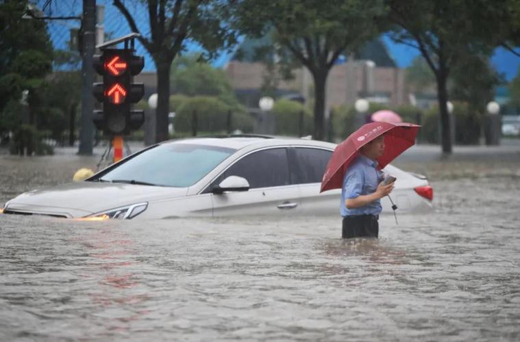 下完这场雨河南小麦会倒吗?许昌鄢陵天气情况-图3 下完这场雨河南小麦会倒吗?许昌鄢陵天气情况-图3