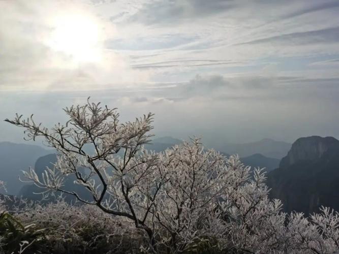 2023年浙江乐清会下雪吗?乐清的天气情况-图3 2023年浙江乐清会下雪吗?乐清的天气情况-图3