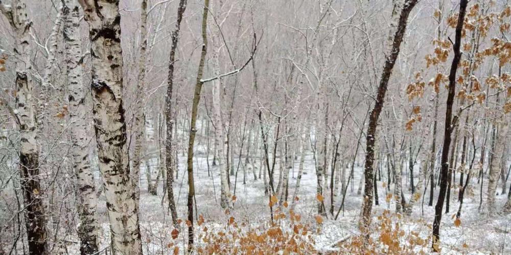 怀柔下雪了吗?怀柔今日天气情况-图3 怀柔下雪了吗?怀柔今日天气情况-图3