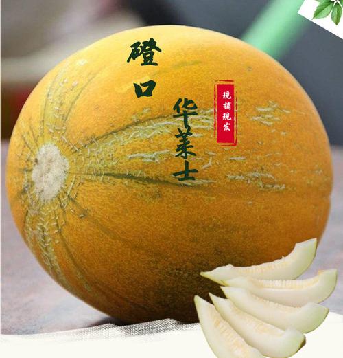 内蒙特产水果排名?巴盟磴口天气情况-图2 内蒙特产水果排名?巴盟磴口天气情况-图2