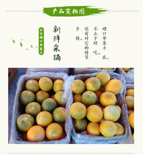 内蒙特产水果排名?巴盟磴口天气情况-图3 内蒙特产水果排名?巴盟磴口天气情况-图3