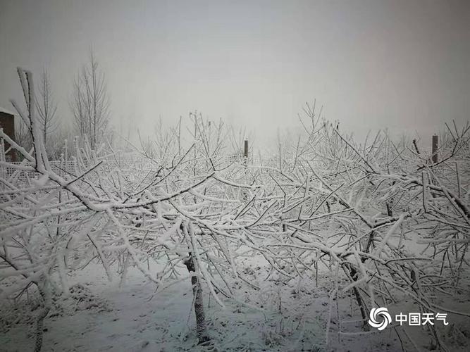 2023年唐山丰润下雪吗?丰润去天气情况-图2 2023年唐山丰润下雪吗?丰润去天气情况-图2