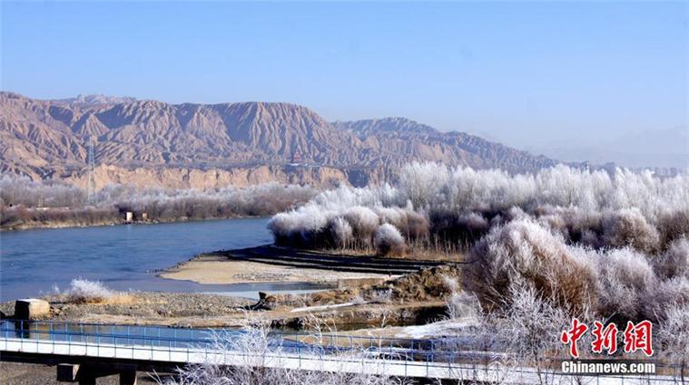 青海哪个地方的气候环境最好?下周贵德天气情况-图3 青海哪个地方的气候环境最好?下周贵德天气情况-图3