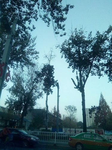 为什么杨凌的秋天爱下雨？杨陵全年天气情况