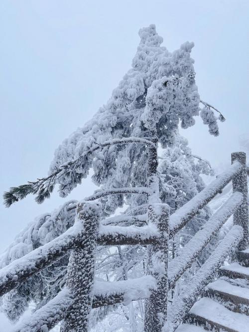 请问七月份黄山山上冷吗温度大概是多?黄山黟县天气情况-图3 请问七月份黄山山上冷吗温度大概是多?黄山黟县天气情况-图3