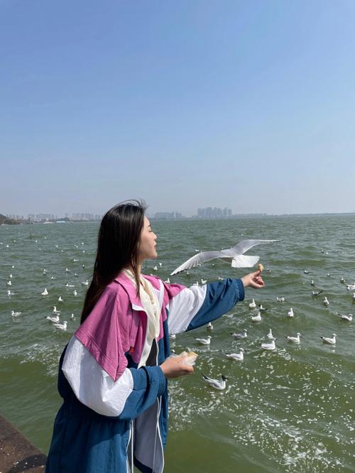 云南昆明12月天气怎么样?穿什么衣服适合?滇池的天气情况-图2 云南昆明12月天气怎么样?穿什么衣服适合?滇池的天气情况-图2