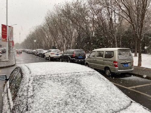 临河路上的雪化了吗?临河今晚天气情况-图3 临河路上的雪化了吗?临河今晚天气情况-图3