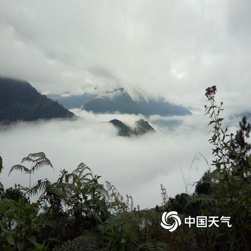 会理一年四季气候介绍？会理冬季天气情况