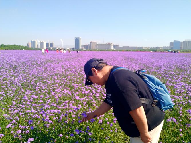 格根塔拉花海景点?今日喀喇沁旗天气情况-图3 格根塔拉花海景点?今日喀喇沁旗天气情况-图3