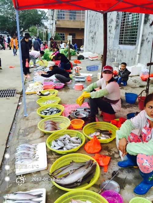 临高有什么适合野餐的地方？今天临高天气情况