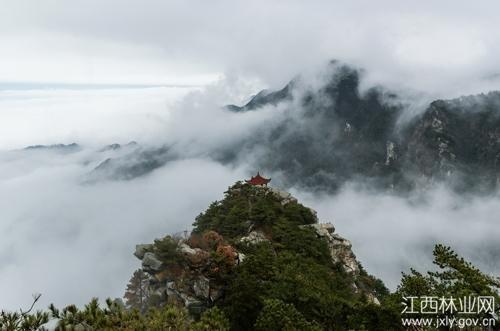 庐山现在热吗?江西庐山 天气情况-图3 庐山现在热吗?江西庐山 天气情况-图3