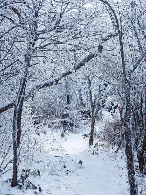衢州七里下雪了吗?衢州下午天气情况-图3 衢州七里下雪了吗?衢州下午天气情况-图3