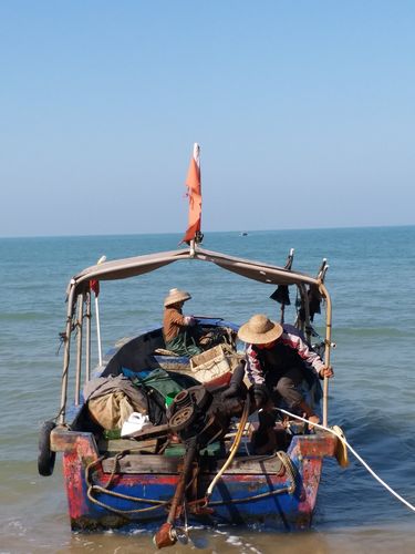 玉环海域赶海时间?玉环近期天气情况-图3 玉环海域赶海时间?玉环近期天气情况-图3
