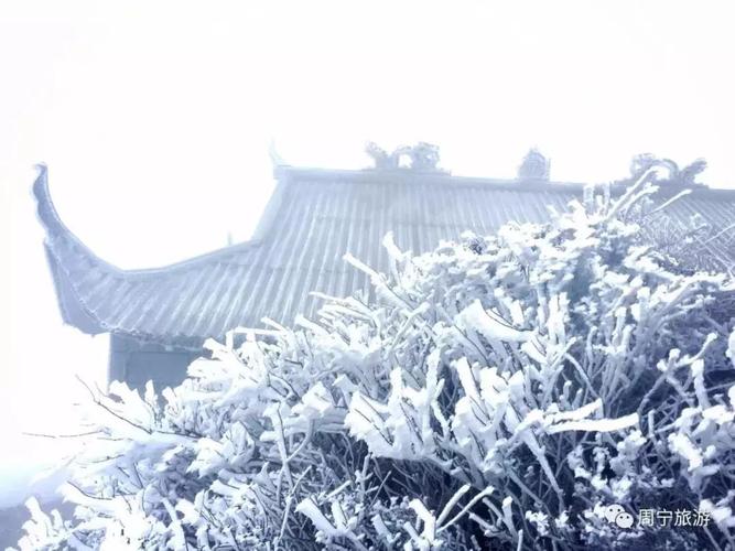 广西河池凤山有下雪吗？凤山的天气情况