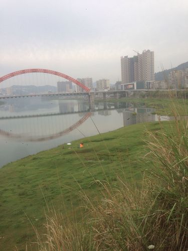 四川苍溪县海拔多高温度?苍溪的天气情况-图2 四川苍溪县海拔多高温度?苍溪的天气情况-图2