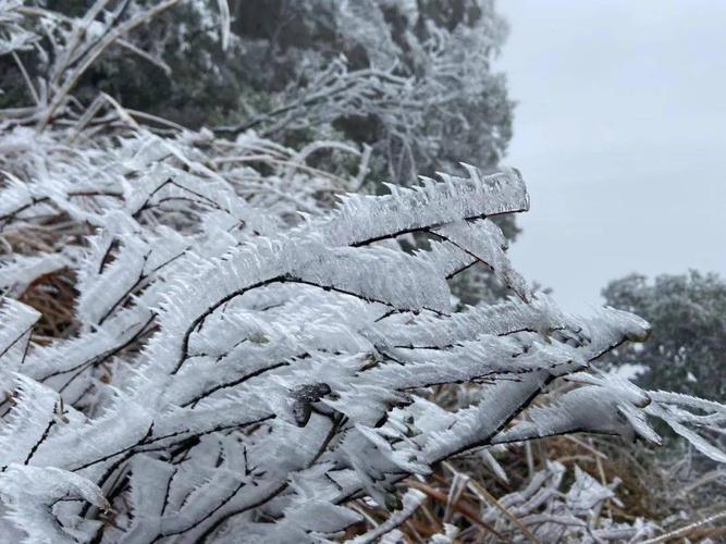河源市和平县仙女石有雪看吗？河源和平天气情况