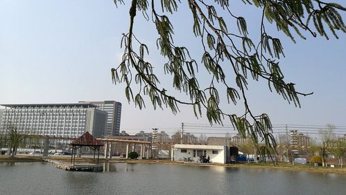 清河半岛冬天开室外吗?淮安清河天气情况-图2 清河半岛冬天开室外吗?淮安清河天气情况-图2