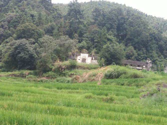 宜丰小水村旅游攻略?宜丰以往天气情况-图3 宜丰小水村旅游攻略?宜丰以往天气情况-图3