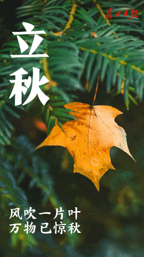 下午立秋 冬天冷吗?立秋的天气情况-图2 下午立秋 冬天冷吗?立秋的天气情况-图2