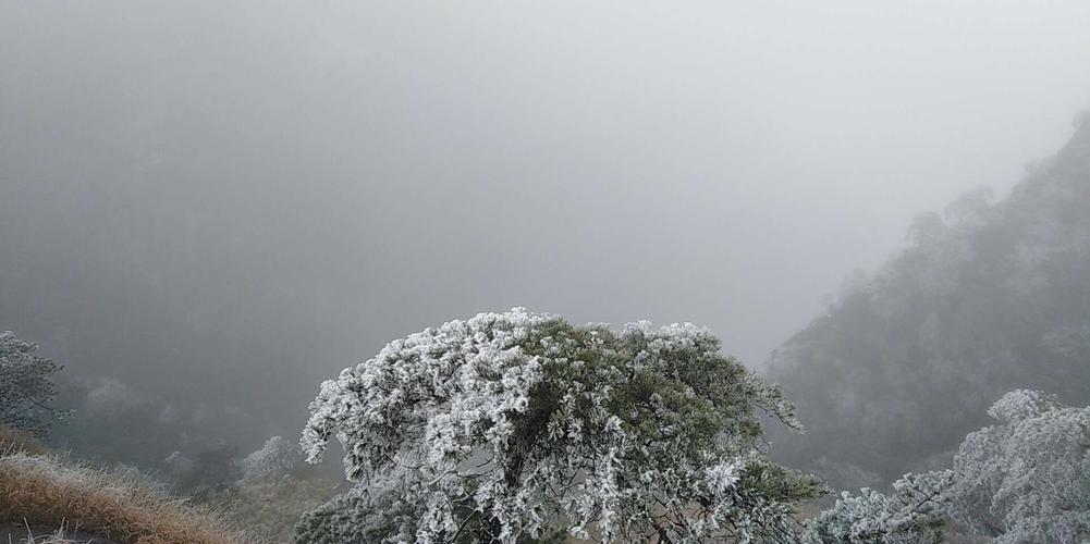 武功山2024年一月有雪吗?武功山天气情况-图1 武功山2024年一月有雪吗?武功山天气情况-图1