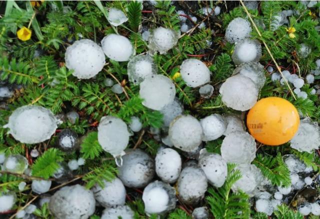 唐山冰雹是真的吗?唐山滦县天气情况-图2 唐山冰雹是真的吗?唐山滦县天气情况-图2